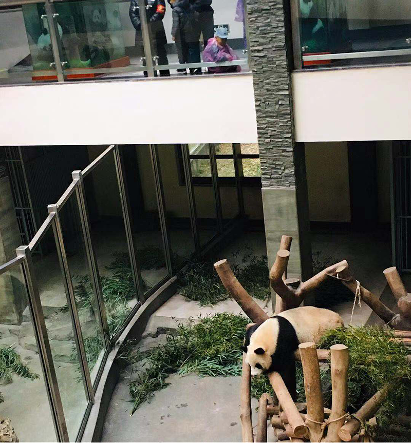 熊貓館